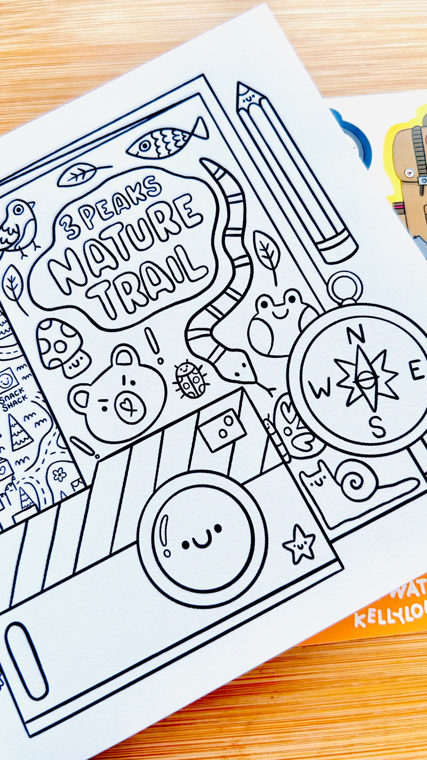 Summer Camp : Colouring Book