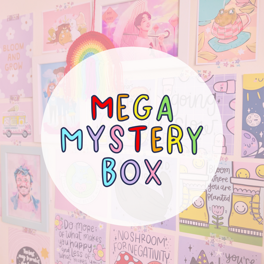 Mega Mystery Box - B Grades/Seconds