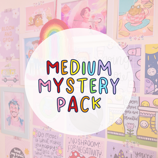 Medium Mystery Pack - B Grades/Seconds